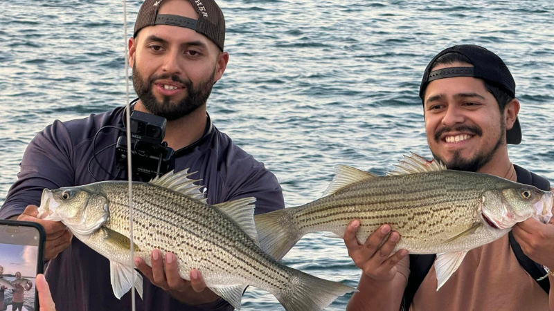 Lake Hartwell Striped Bass Fishing Charters
