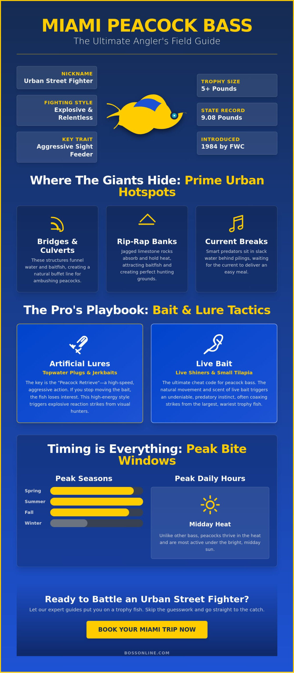 Miami Peacock Bass Fishing Trips: The Ultimate Guide to Urban Street Fighters (2026)