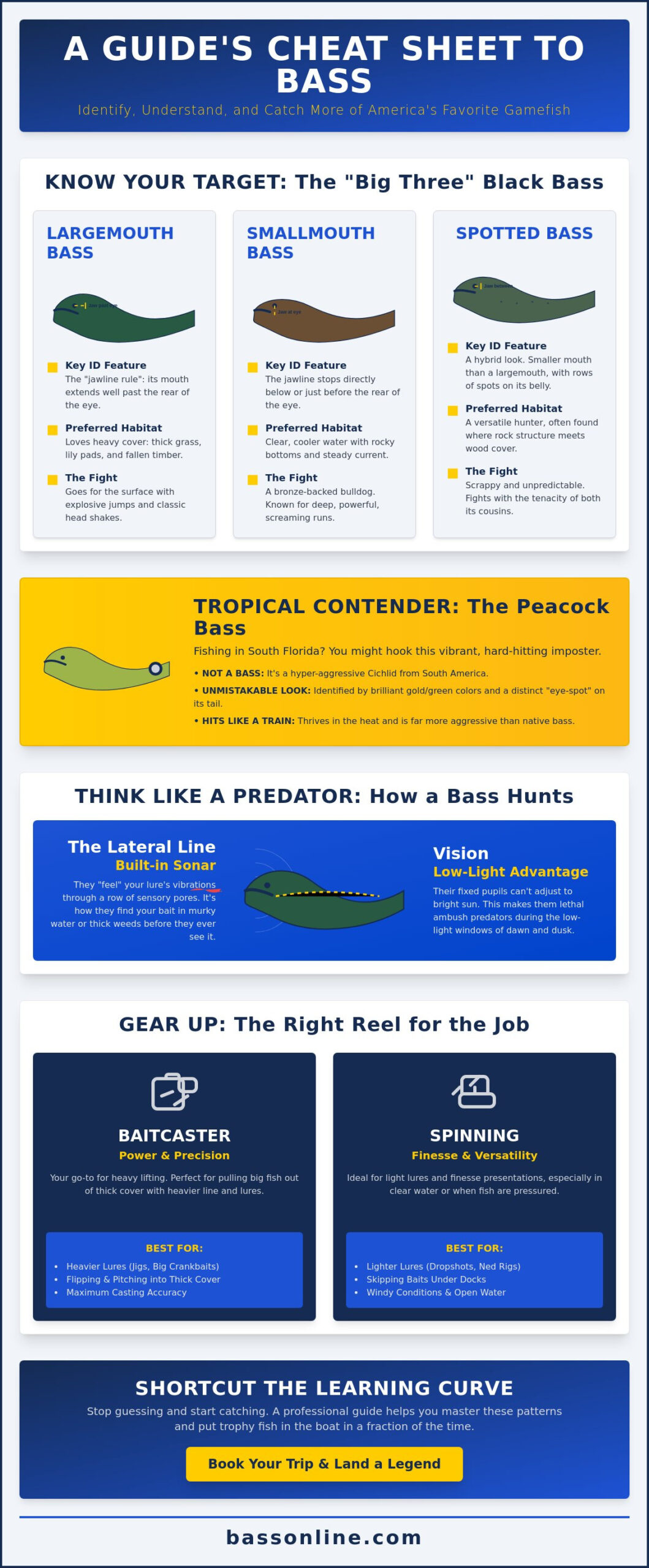 The Ultimate Guide to Bass Fish: Species, Habits, & Tips