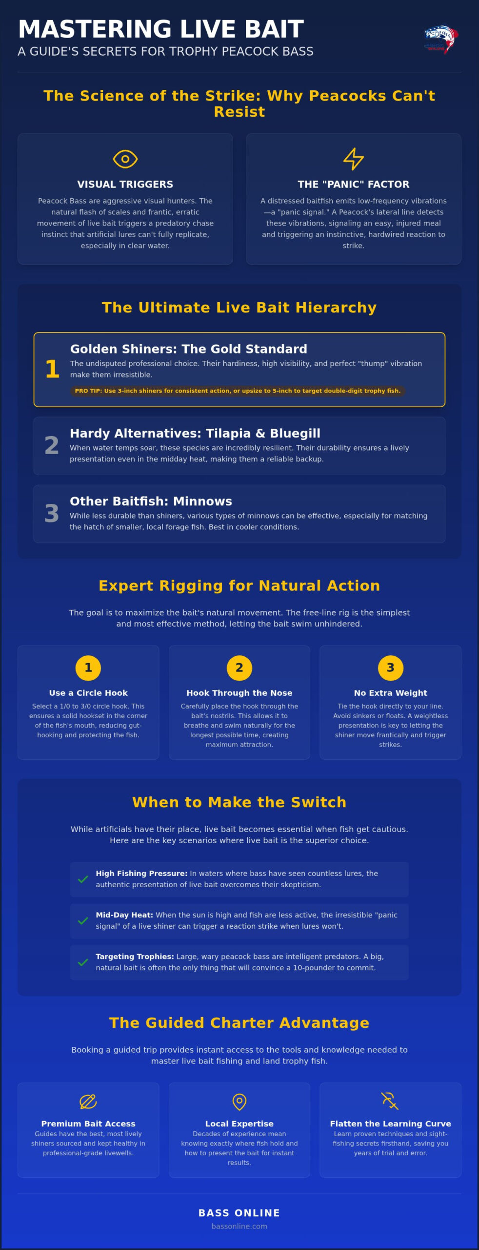 Live Bait for Peacock Bass: The Ultimate Guide to Triggering Trophy Strikes 2 Live Bait for Peacock Bass: The Ultimate Guide to Triggering Trophy Strikes