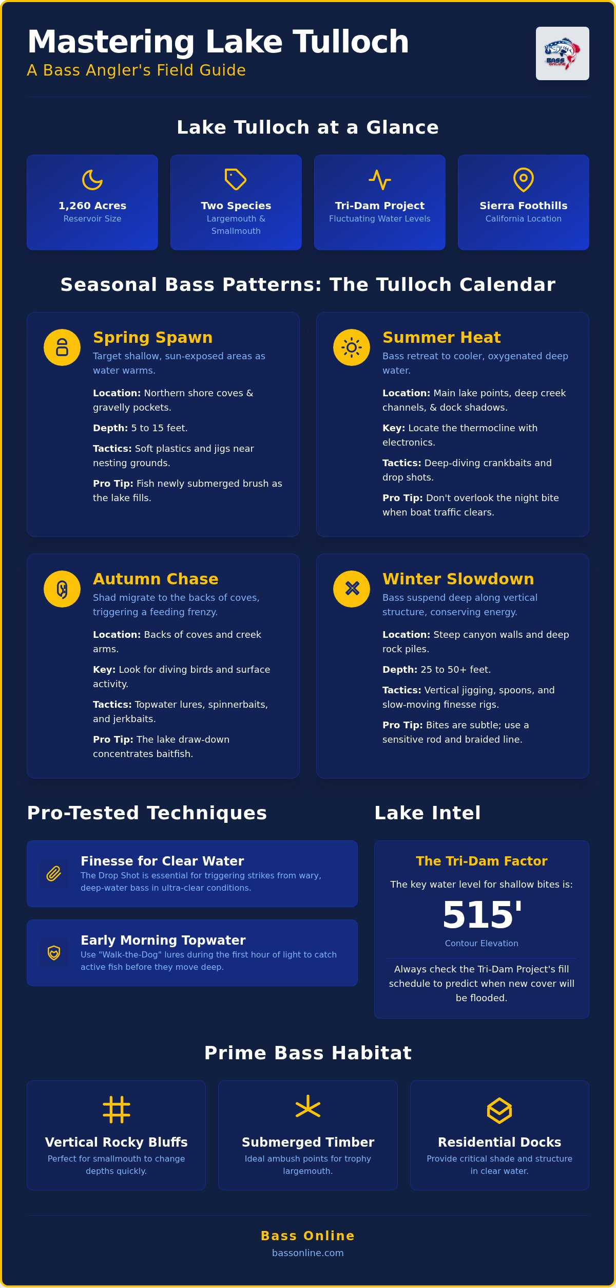 Expert Guide to Lake Tulloch Bass Fishing and Techniques