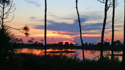 Port St. Joe, FL
