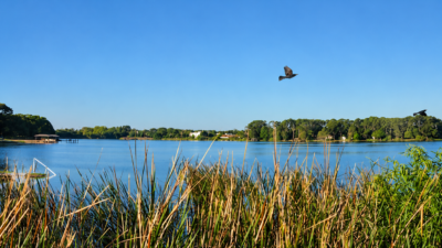 Lake Fairview