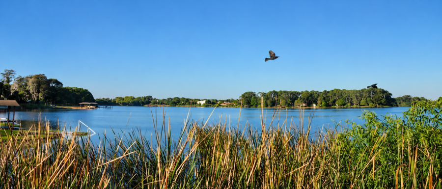 Lake Fairview