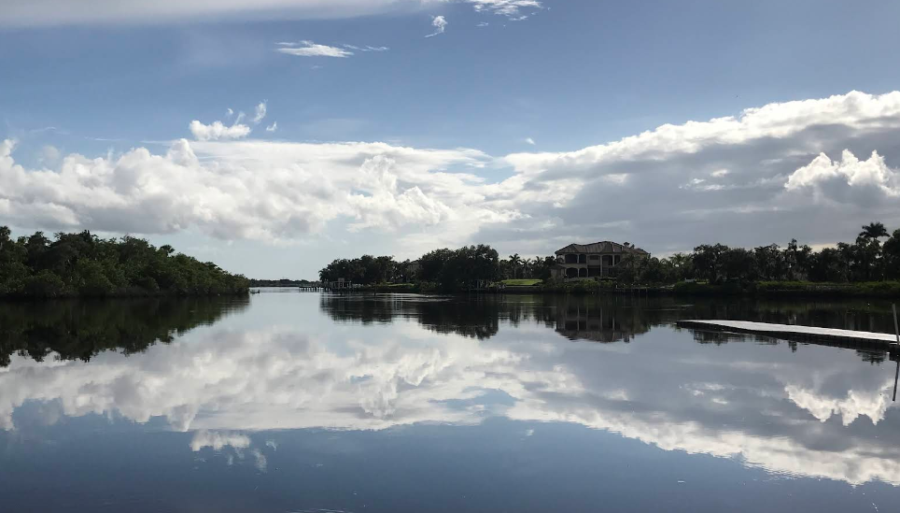 Manatee River photo